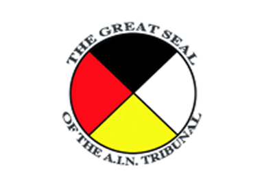 AIN Logo